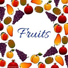 圆形空间矢量水果横幅 文本与视觉的完美融合